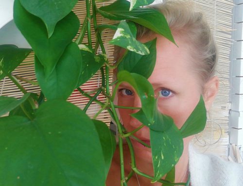 Angst voor nabijheid